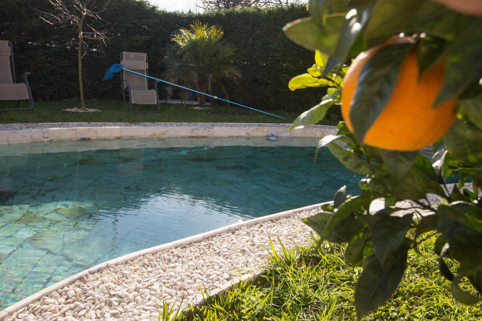 Guest H4U - Villa Garden & Pool Povoa de Varzim Ngoại thất bức ảnh